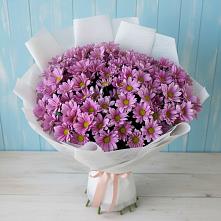 Букет цветов из:  Хризантемы в Верее Раменского района